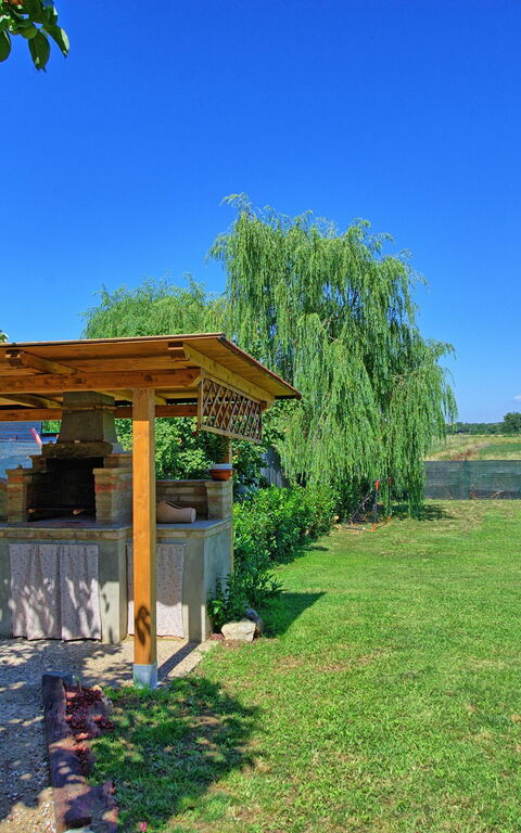 Casa Violina: Balcone / Terrazza / Patio, Giardino
