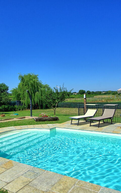 Casa Violina: Giardino, Piscina