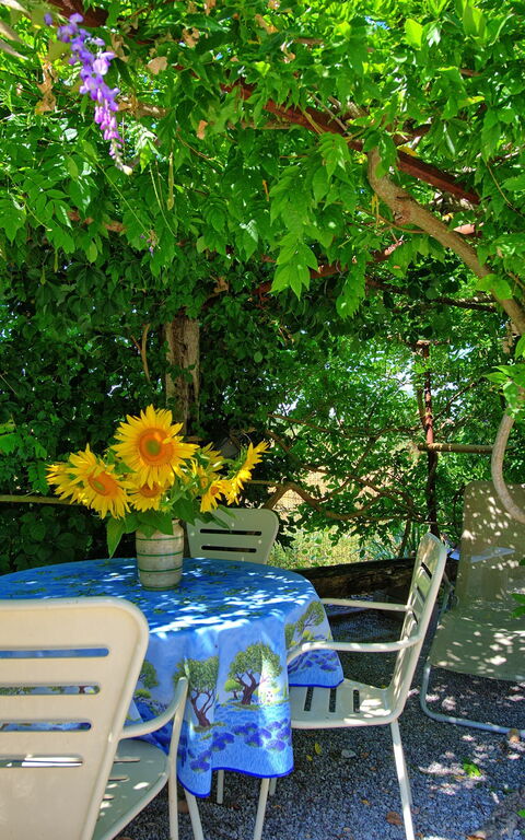 Casa Violina: Giardino