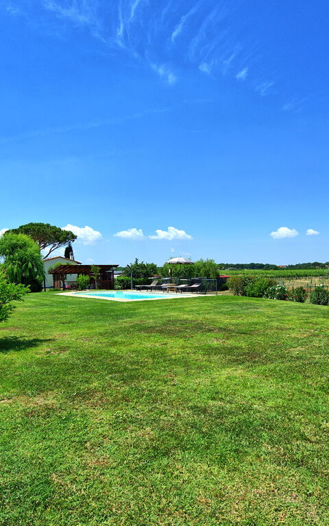 Casa Violina: all'aperto, Giardino