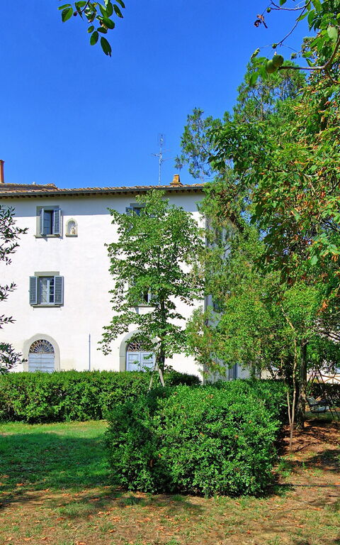 Villa Cangeli: all'aperto, Giardino