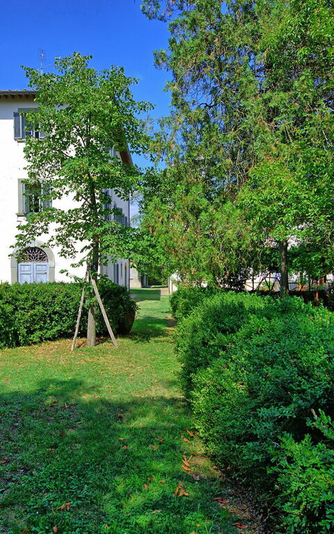 Villa Cangeli: all'aperto, Giardino