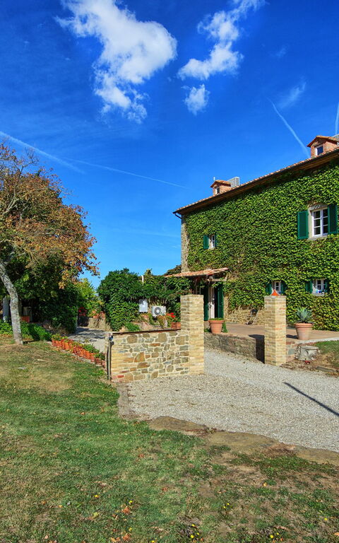 Villa Edo: all'aperto, Esterni, Giardino