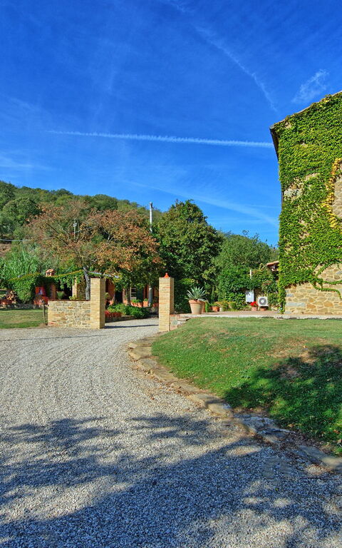 Villa Edo: Esterni, Giardino