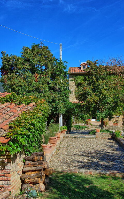Villa Edo: Giardino