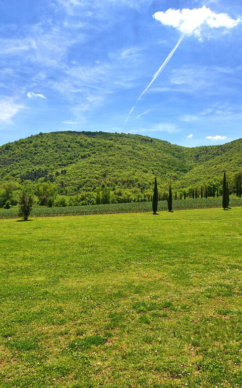 Villa Edo: all'aperto, Giardino