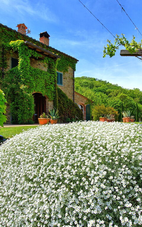 Villa Edo: all'aperto, Giardino