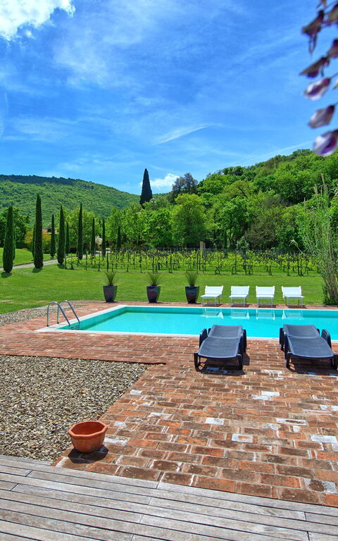 Villa Edo: all'aperto, Giardino