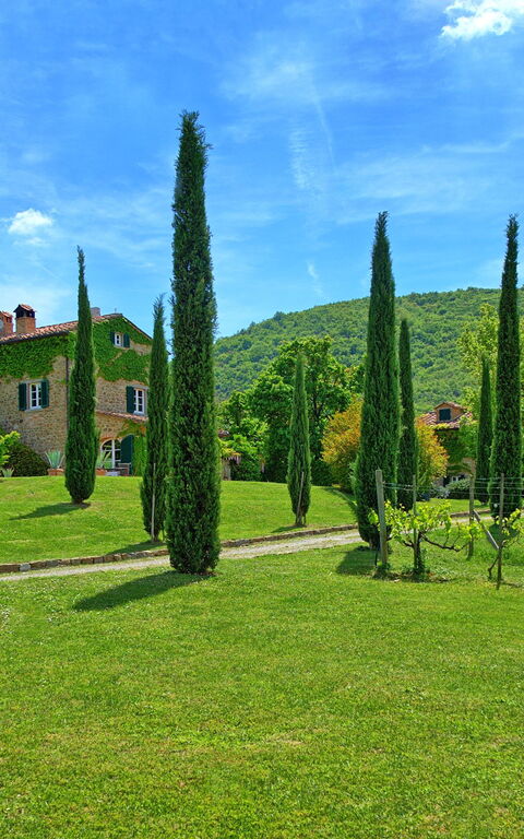 Villa Edo: all'aperto, Giardino