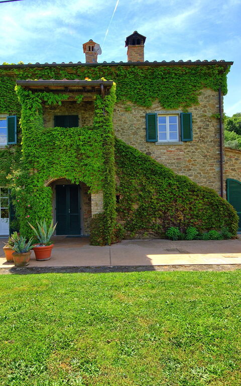 Villa Edo: all'aperto, Giardino