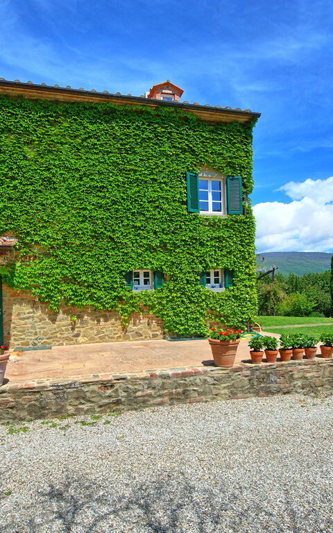 Villa Edo: all'aperto, Giardino