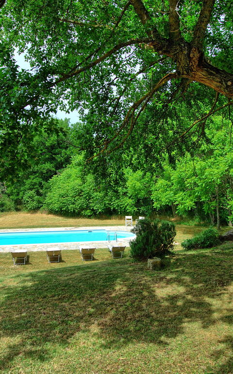 Villa Gualchiere: all'aperto, Giardino, Piscina
