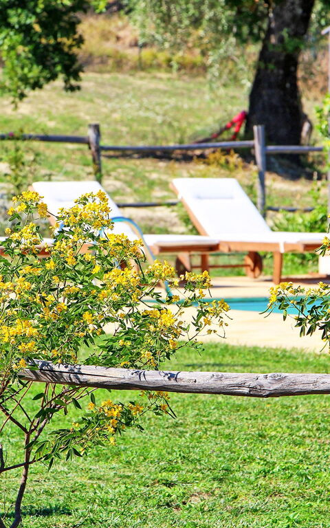 Villa Civita-Old: Giardino