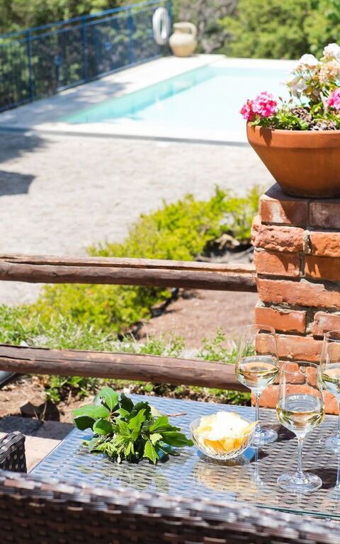 Villa Rocca: all'aperto, Giardino