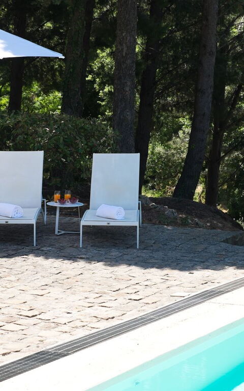 Villa Rocca: Piscina