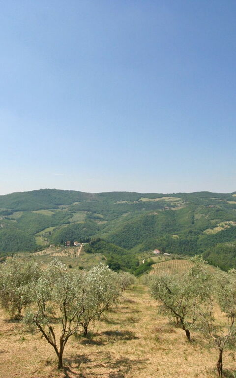 Casalta: all'aperto, Giardino