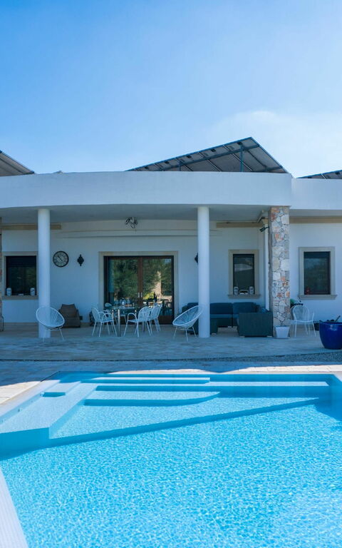 Villa Modigliani: all'aperto, Piscina