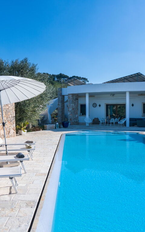 Villa Modigliani: Piscina