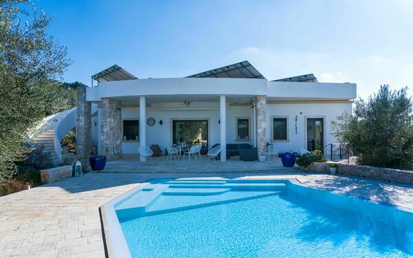 Villa Modigliani: all'aperto, Piscina