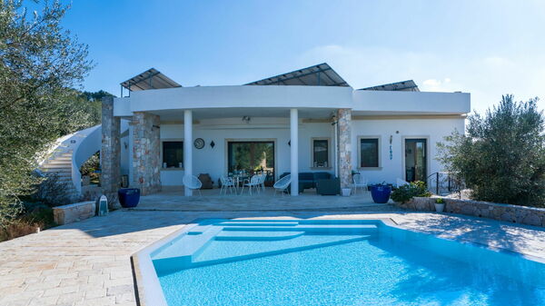 Villa Modigliani: all'aperto, Piscina