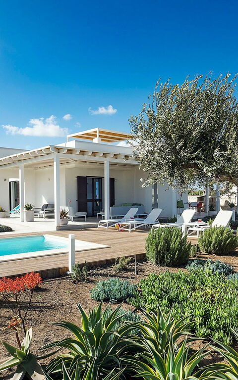 Villa San Lorenzo Rosmarino: all'aperto, Giardino