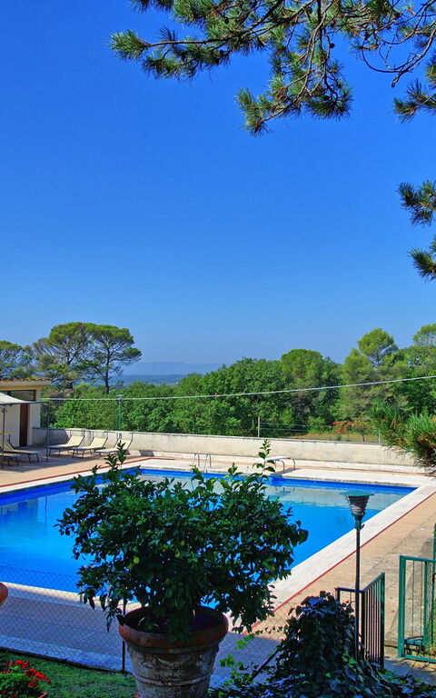 Villa Cuculo: Giardino, Piscina