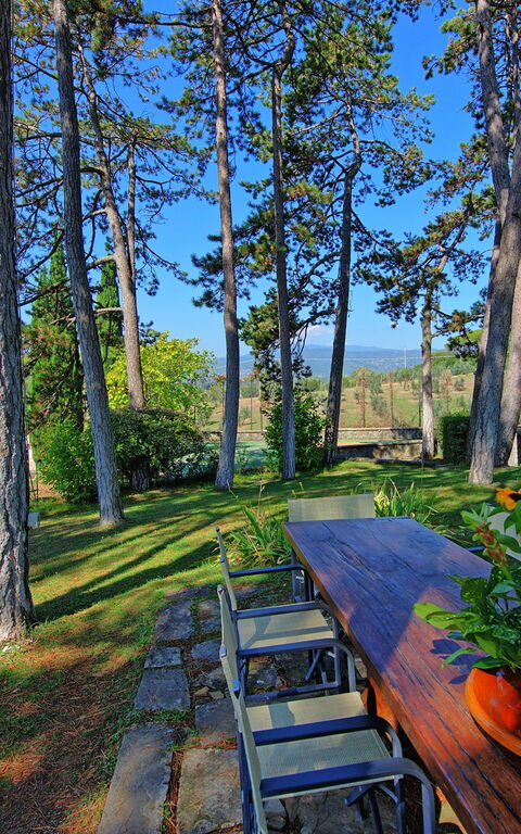 Villa Cuculo: Giardino