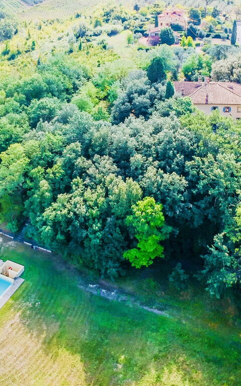 Moriolo: Giardino, Piscina, Vista Panoramica