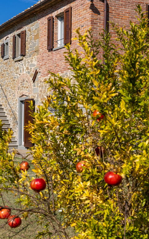 Villa Dei Vini: all'aperto, Esterni, Giardino
