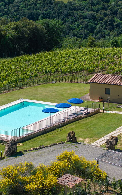 Villa Il Caggio: all'aperto, Esterni, Giardino, Piscina, Vista Panoramica