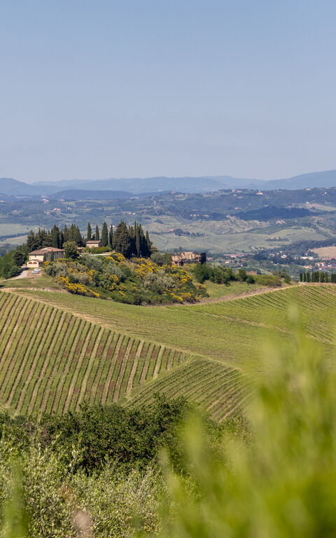 Villa Il Caggio: Vista Panoramica