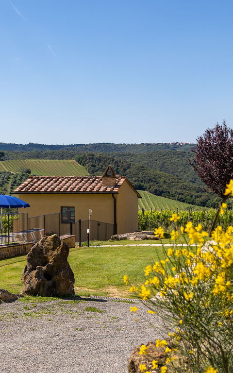 Villa Il Caggio: all'aperto, Esterni, Giardino, Piscina