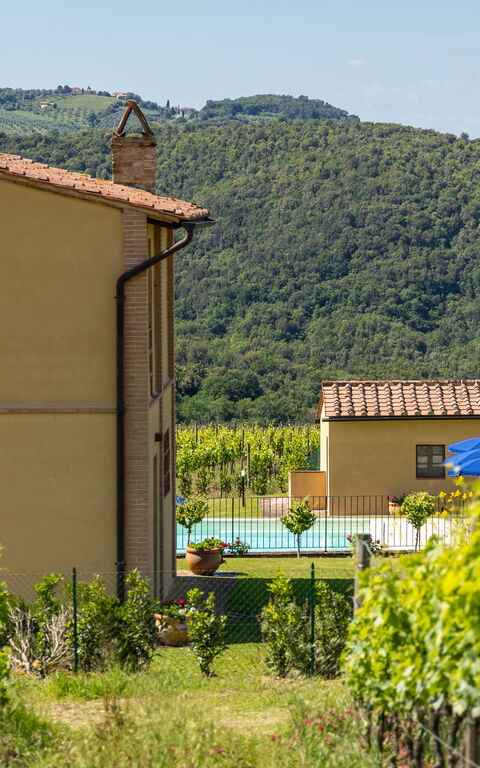 Villa Il Caggio: all'aperto, Esterni, Giardino, Piscina