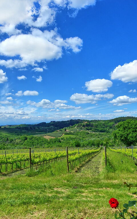 Maggiano: Vista Panoramica