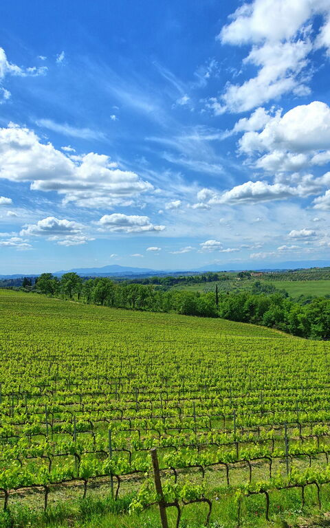 Maggiano: Vista Panoramica