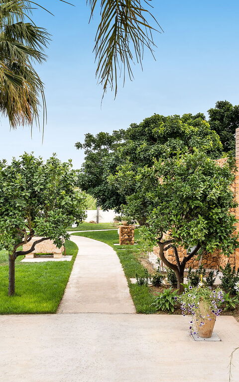 Villa Pietra Del Sole: all'aperto, Esterni, Giardino