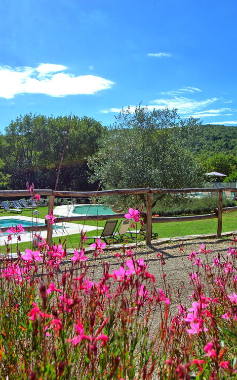 Borgo Mulignone: Giardino, Piscina