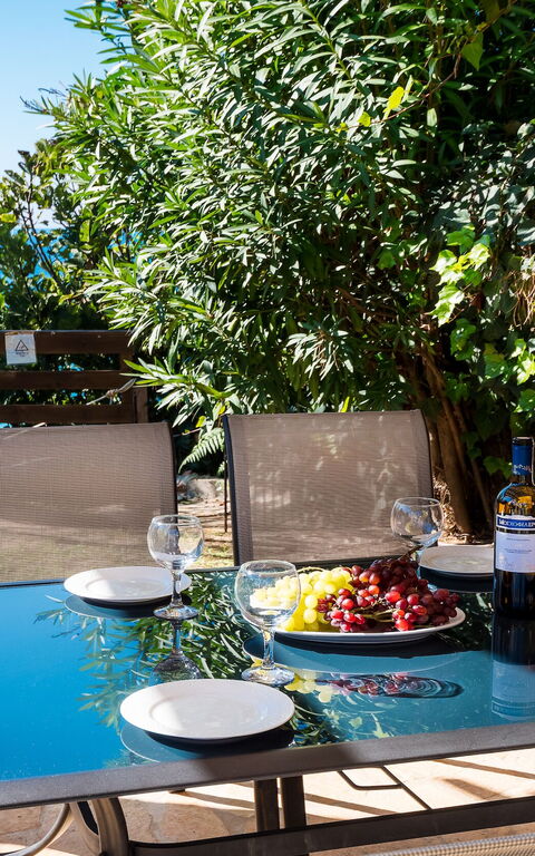 Beachfront Villa Rania: all'aperto, Giardino