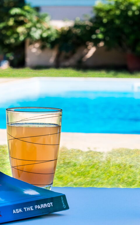 Beachfront Villa Rania: Giardino, Piscina