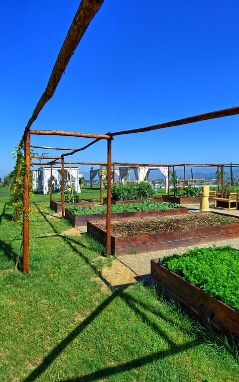 Il Sole Di Vino: Attività, Giardino