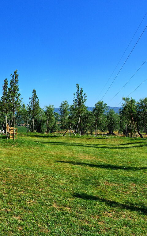 Il Sole Di Vino: Giardino, Vista Panoramica