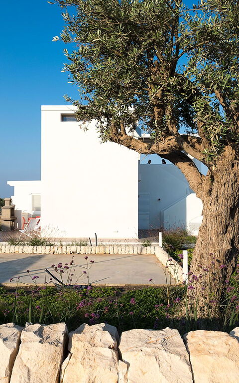 Villa San Lorenzo Palma: all'aperto, Giardino