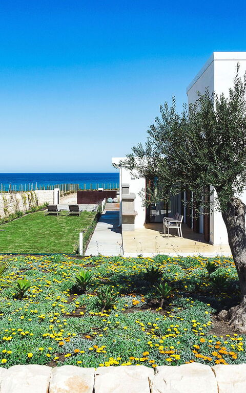 Villa San Lorenzo Lavanda: all'aperto, Giardino