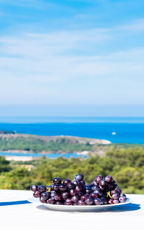 Villa Athena: Vista Panoramica