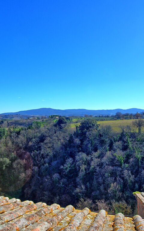 Palazzo Del Capitano: Vista Panoramica