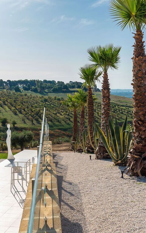 Villa Camemi: all'aperto, Estate, Giardino