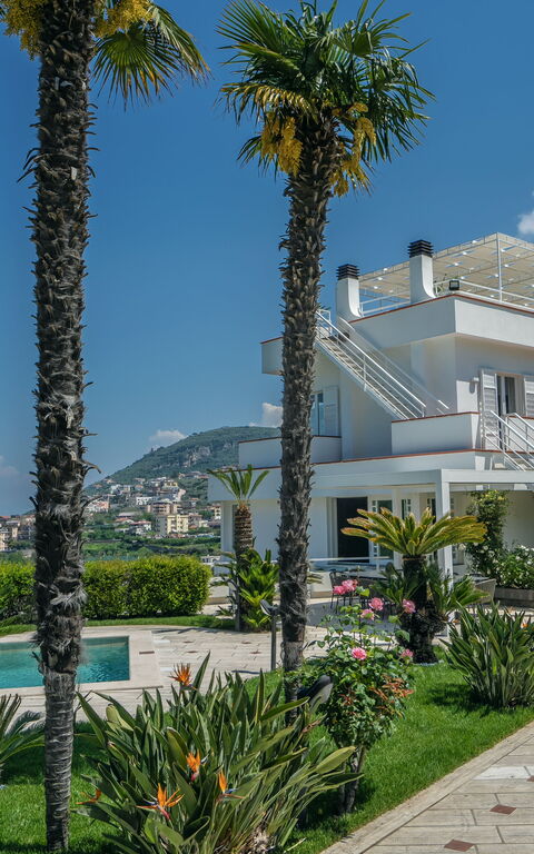 Villa Antonietta: all'aperto, Esterni, Piscina