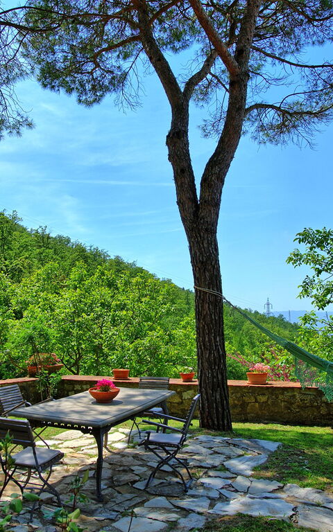 Villa Ancora: all'aperto