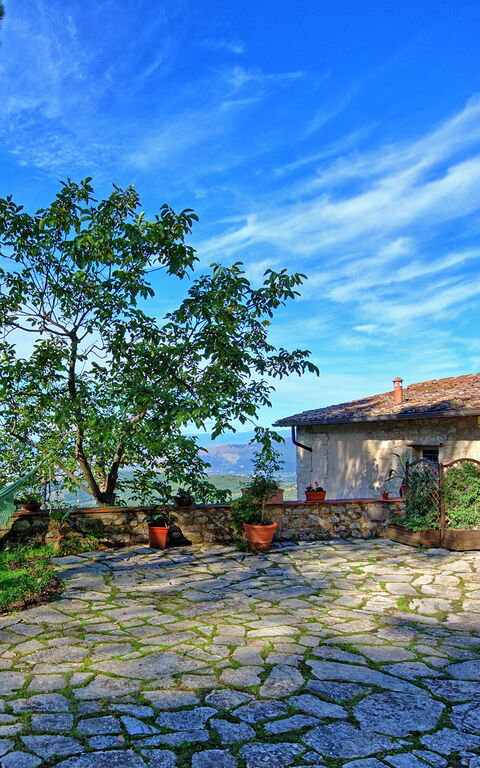 Villa Ancora: all'aperto, Giardino