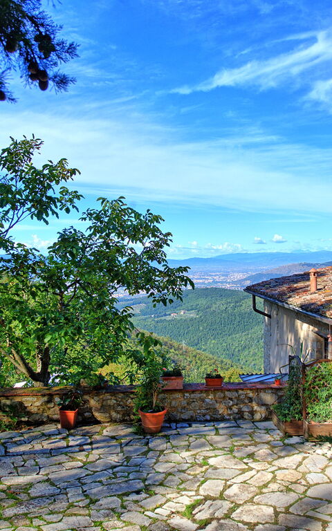 Villa Ancora: all'aperto, Giardino